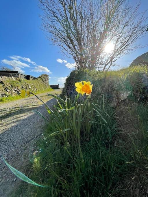 Goodwick The Hut@Trefechan Wen - Coastal Coziness!ヴィラ エクステリア 写真